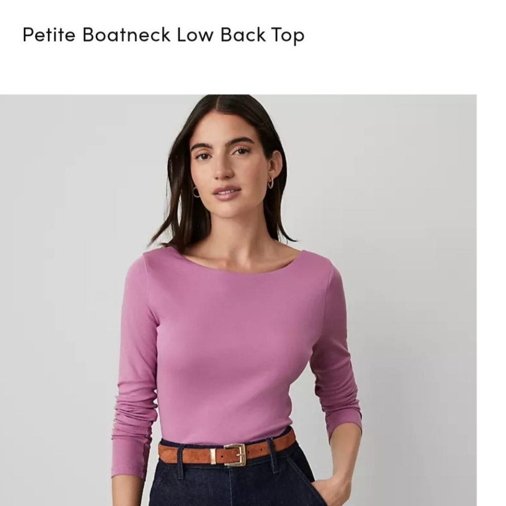 Ann Taylor Mauve Long Sleeve Top